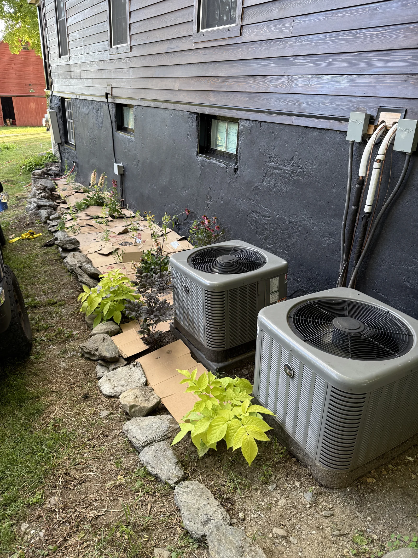 Lush pollinator garden planting